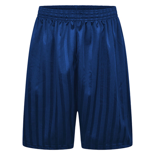 Royal Blue Shadow Stripe P.E. Shorts