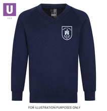 Load image into Gallery viewer, Bulphan Academy V-Neck Sweatshirt with logo
