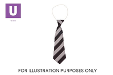 Load image into Gallery viewer, Black &amp; White Broad Stripe Tie (Box of 24)