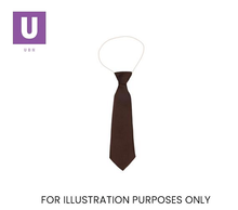 Load image into Gallery viewer, Plain Brown Eco Ties (Box of 24)