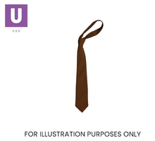 Load image into Gallery viewer, Plain Brown Eco Ties (Box of 24)