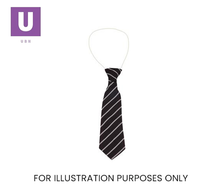 Load image into Gallery viewer, Black &amp; White Thin Stripe Tie (Box of 24)