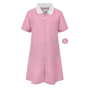Pink & White  A-Line Gingham Dress