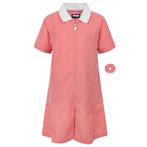 Girls Red A-Line Gingham Dress