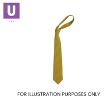 Load image into Gallery viewer, Plain Gold Eco Ties (Box of 24)