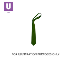 Load image into Gallery viewer, Plain Green Eco Ties (Box of 24)
