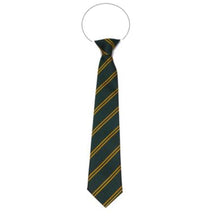 Load image into Gallery viewer, Green &amp; Gold Double Stripe Eco Tie