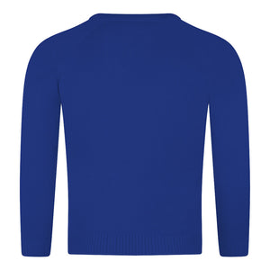 Holy Cross Primary Knitted V-Neck Jumper with logo