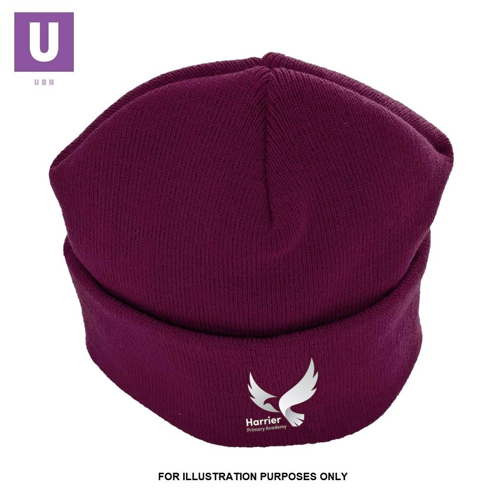 Harrier Primary Academy Knitted Ski Hat with logo
