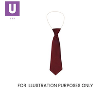 Load image into Gallery viewer, Plain Maroon Eco Ties (Box of 24)