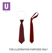 Load image into Gallery viewer, Plain Maroon Eco Ties (Box of 24)
