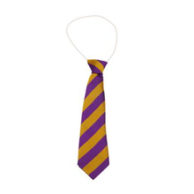 Load image into Gallery viewer, Purple &amp; Gold Broad Stripe Tie