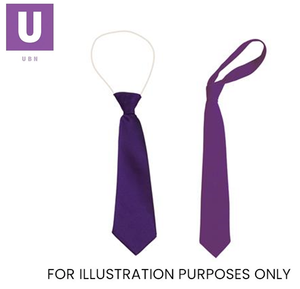 Plain Purple Eco Ties (Box of 24)