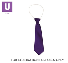 Charger l&#39;image dans la galerie, Plain Purple Eco Ties (Box of 24)