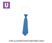 Load image into Gallery viewer, Plain Saxe Eco Ties (Box of 24)