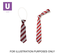 Load image into Gallery viewer, Red &amp; White Broad Stripe Tie (Box of 24)