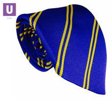 Load image into Gallery viewer, Royal &amp; Gold Double Stripe Eco Tie