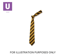 Load image into Gallery viewer, Brown &amp; Gold Broad Stripe Tie (Box of 24)