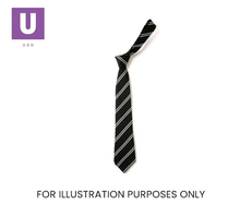 Load image into Gallery viewer, Black &amp; White Double Stripe Tie (Box of 24)