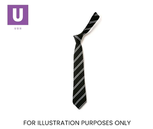 Black & White Double Stripe Tie (Box of 24)