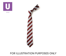 Load image into Gallery viewer, Maroon &amp; White Broad Stripe Tie (Box of 24)