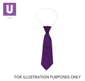 Plain Violet Eco Ties (Box of 24)