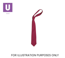 Load image into Gallery viewer, Plain Wine Eco Ties (Box of 24)