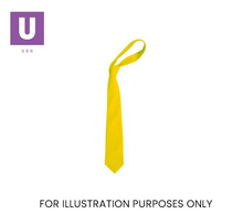 Laden Sie das Bild in den Galerie-Viewer, Plain Yellow Eco Ties (Box of 24)