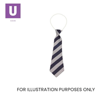 Load image into Gallery viewer, Navy &amp; Sliver Broad Stripe Tie (Box of 24)
