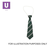 Load image into Gallery viewer, Green &amp; White Double Stripe Tie (Box of 24)