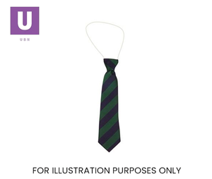 Navy & Emerald Broad Stripe Tie (Box of 24)