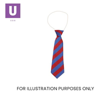 Load image into Gallery viewer, Red &amp; Royal Blue Broad Stripe Tie (Box of 24)