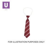 Load image into Gallery viewer, Maroon &amp; White Double Stripe Tie (Box of 24)
