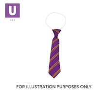 Load image into Gallery viewer, Purple &amp; Gold Double Stripe Tie (Box of 24)
