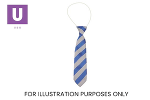 Royal Blue & White Broad Stripe Tie (Box of 24)