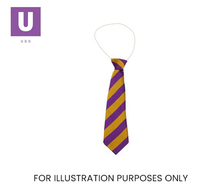 Load image into Gallery viewer, Purple &amp; Gold Broad Stripe Tie (Box of 24)