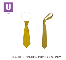 Load image into Gallery viewer, Plain Gold Eco Ties (Box of 24)