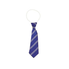 Load image into Gallery viewer, Royal &amp; White Double Stripe Eco Tie