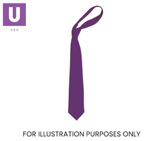 Load image into Gallery viewer, Plain Purple Eco Ties (Box of 24)