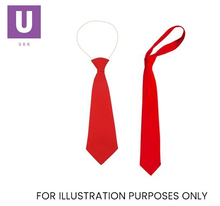 Load image into Gallery viewer, Plain Red Eco Ties (Box of 24)