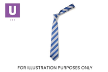 Load image into Gallery viewer, Royal Blue &amp; White Broad Stripe Tie (Box of 24)