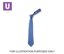 Load image into Gallery viewer, Royal Blue &amp; Silver Thin Stripe Tie (Box of 24)