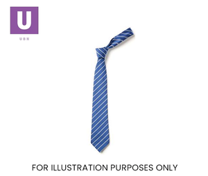 Royal Blue & Silver Thin Stripe Tie (Box of 24)