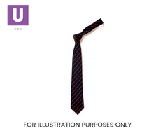 Load image into Gallery viewer, Black &amp; Red Thin Stripe Tie (Box of 24)