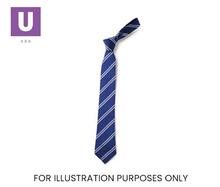Load image into Gallery viewer, Royal Blue &amp; White Double Stripe Tie (Box of 24)