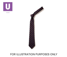Load image into Gallery viewer, Navy &amp; Red Thin Stripe Tie (Box of 24)