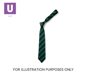 Navy & Emerald Broad Stripe Tie (Box of 24)