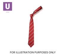 Cargar imagen en el visor de la galería, Red &amp; Grey Double Stripe Tie (Box of 24)