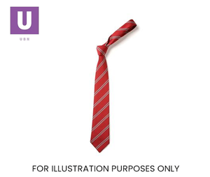 Red & Grey Double Stripe Tie (Box of 24)