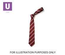 Load image into Gallery viewer, Maroon &amp; White Double Stripe Tie (Box of 24)